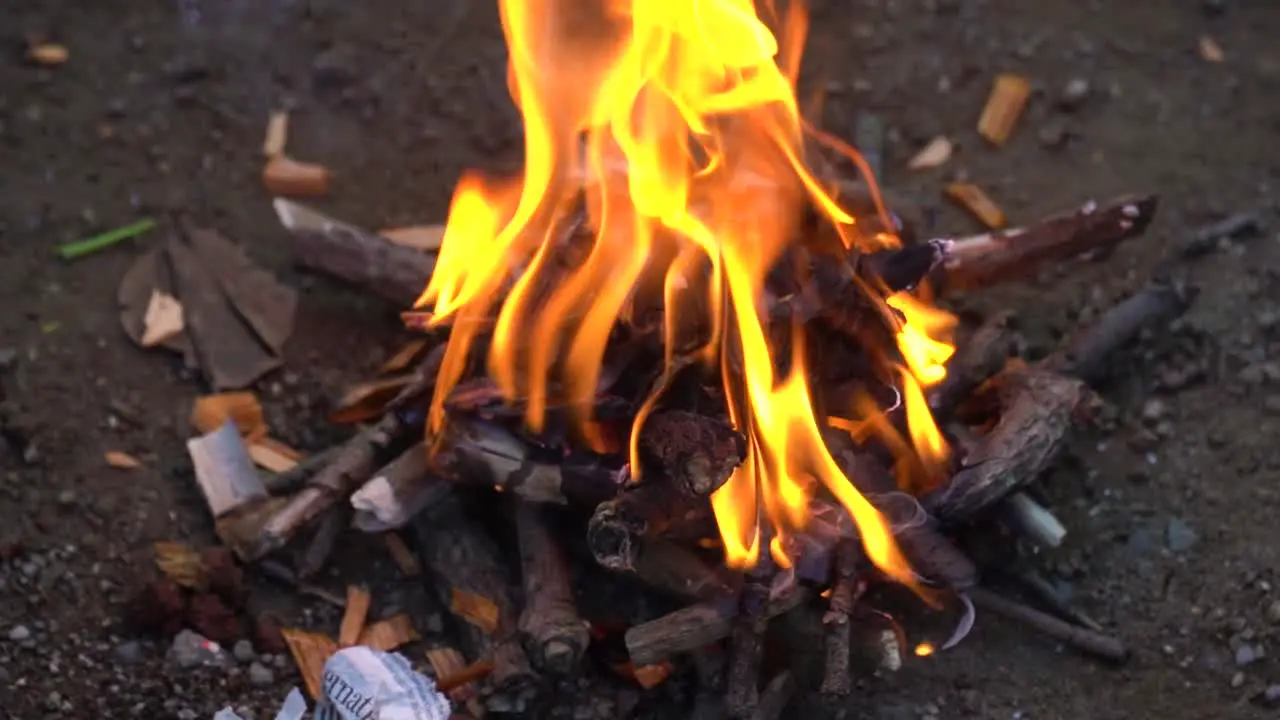 Bonfire Fire flames in campfire in slowmotion Camping Burning woods