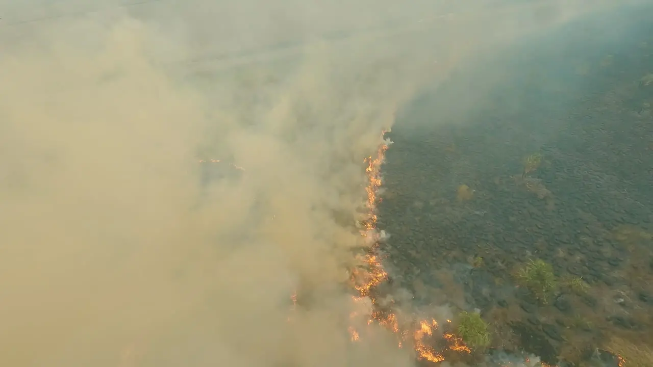 descending drone shot smoke clouds controlled fire forest fire line farmland burning up flying FPV aerial spectaculair