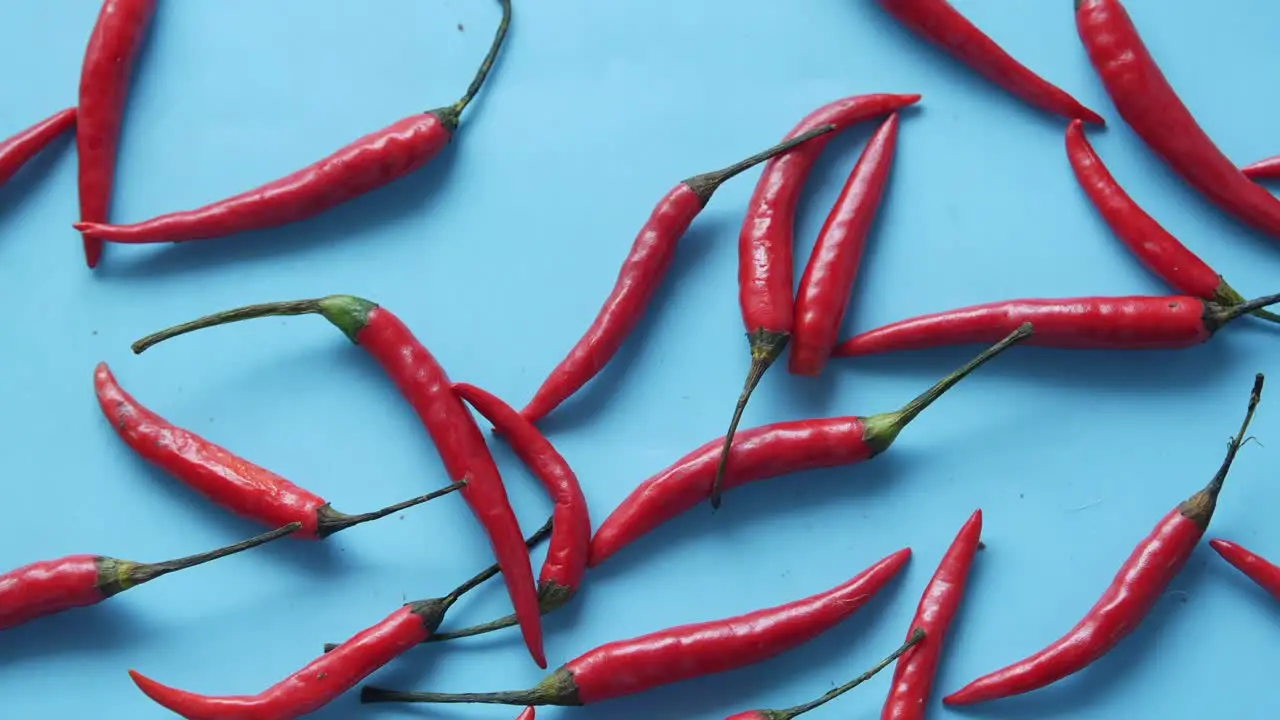 Red chili pepper blue background