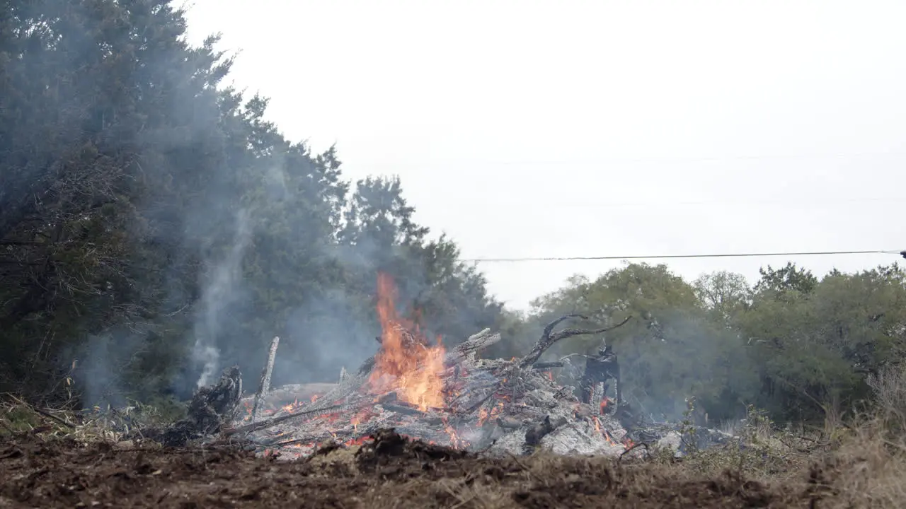 Wide shot f burning brush pile and cedar trees