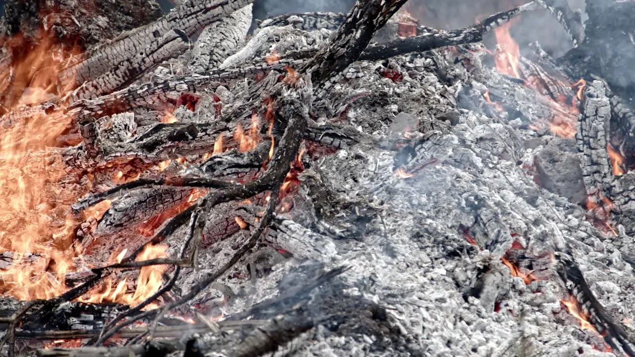 Close up panning shot of burning brush pile