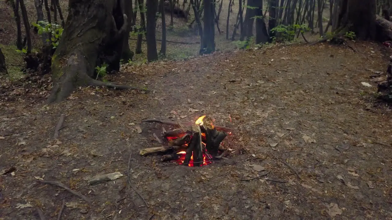 Bonfire between trees left abandoned in forest Fire Camp of burning woods alone