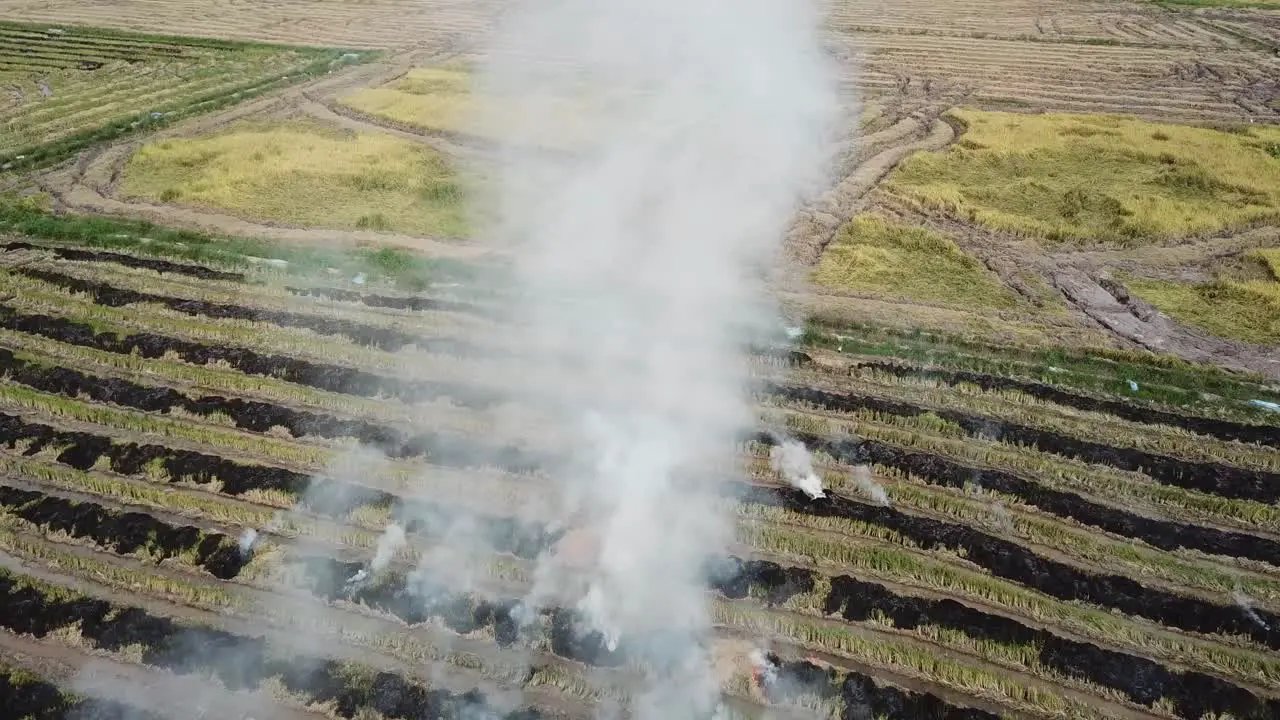 Open burning rice straw at countryside area