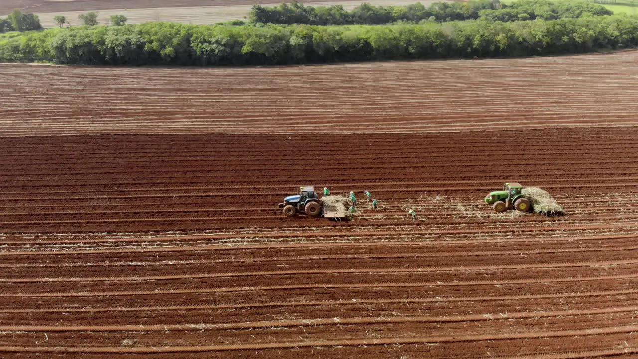 Men planting cane manually in the field