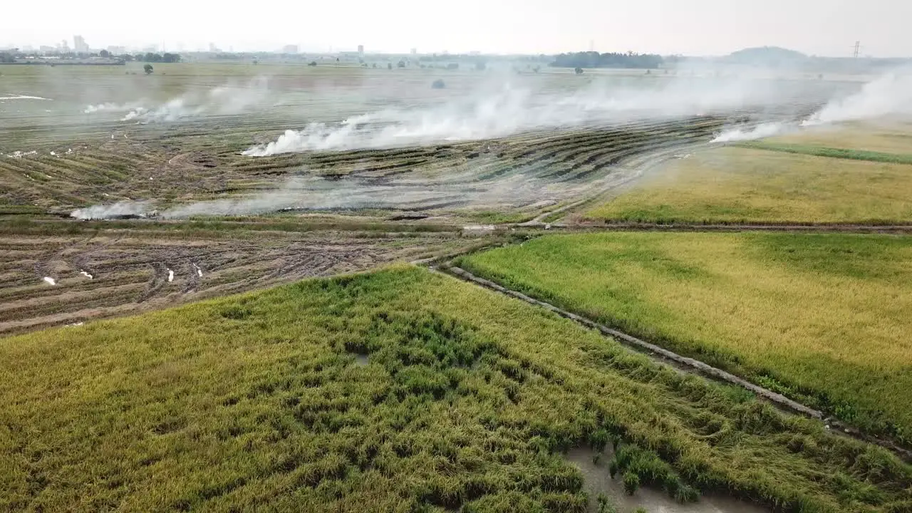 Aerial view open fire at rice paddy field after harvested at Malaysia