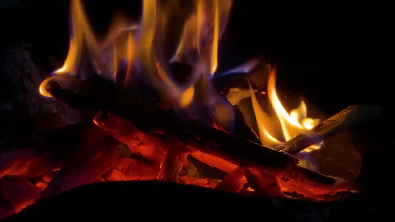 Firewood burning at night for warmth close up view