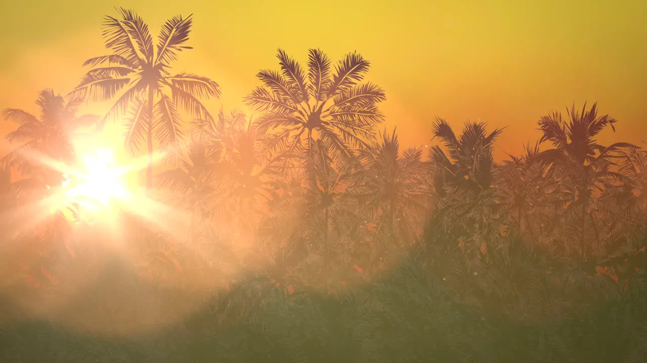 Panoramic view of tropical landscape with palm trees and sunset 15