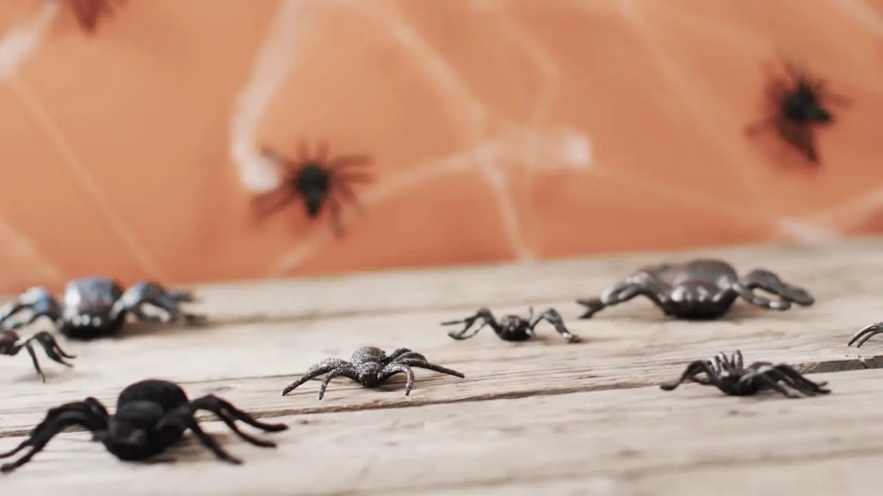 Video of halloween spiders and spider's web and copy space on wooden and orange background