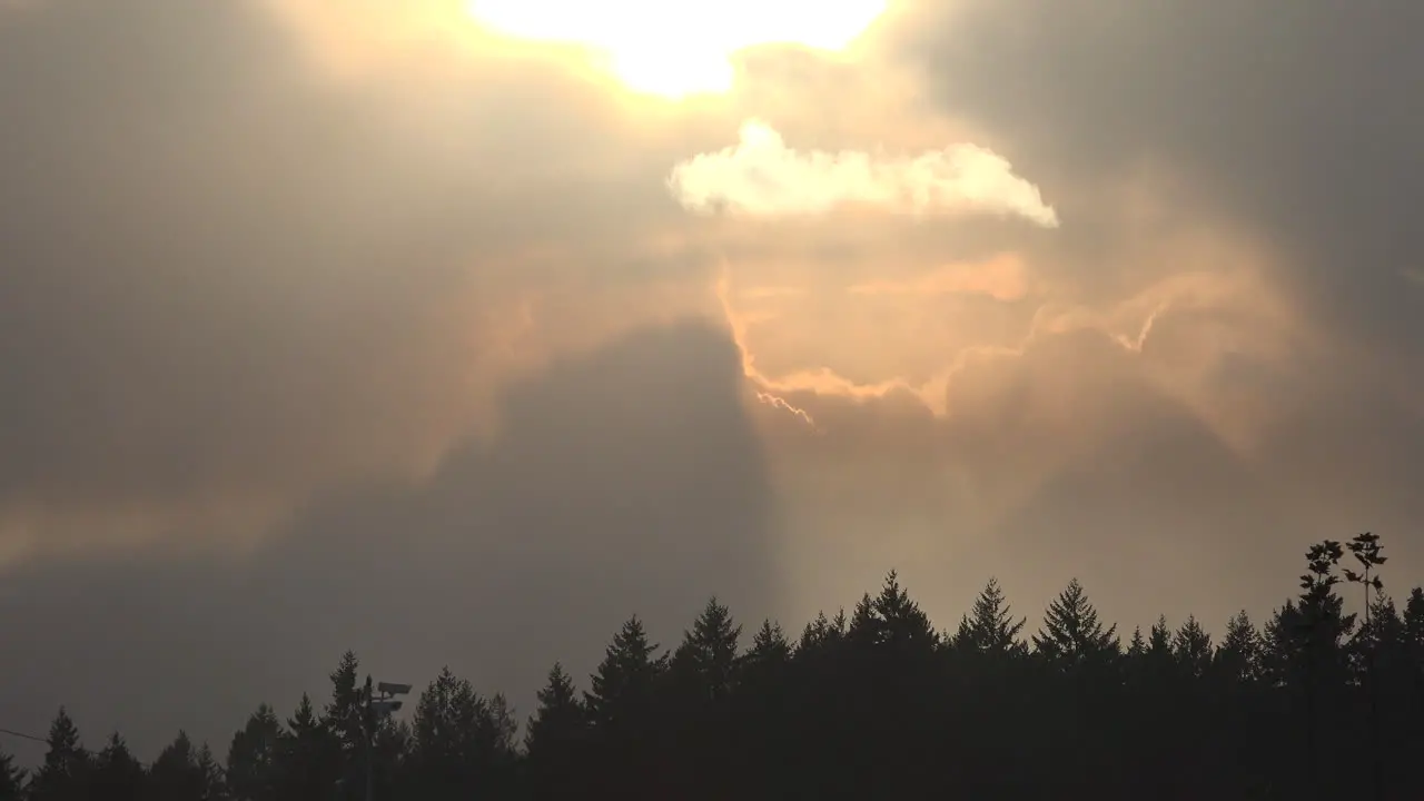 Oregon Sun Rays And Trees Time Lapse