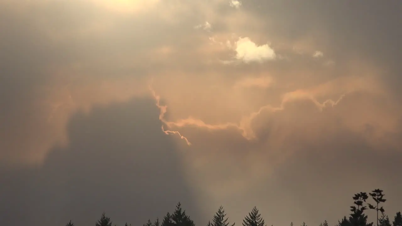 Oregon Sun Rays And Golden Light