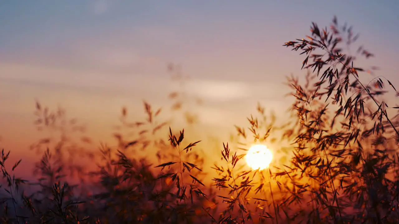 Sunset at Schoenberg in Freiburg im Breisgau 4k