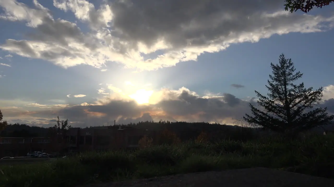 Oregon Sun Rays And Tree