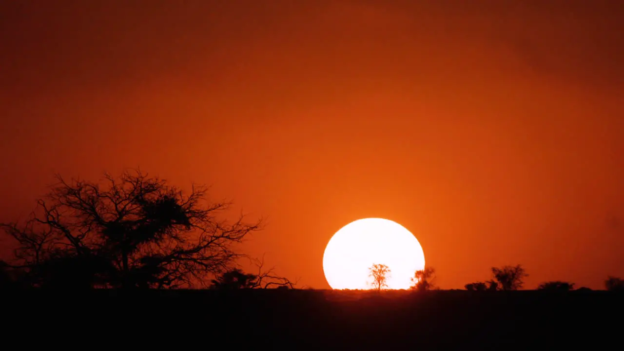 Time lapse of sunset in African bushland