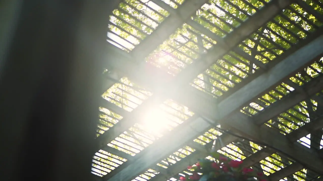 Sun shining through a gazebo in a park