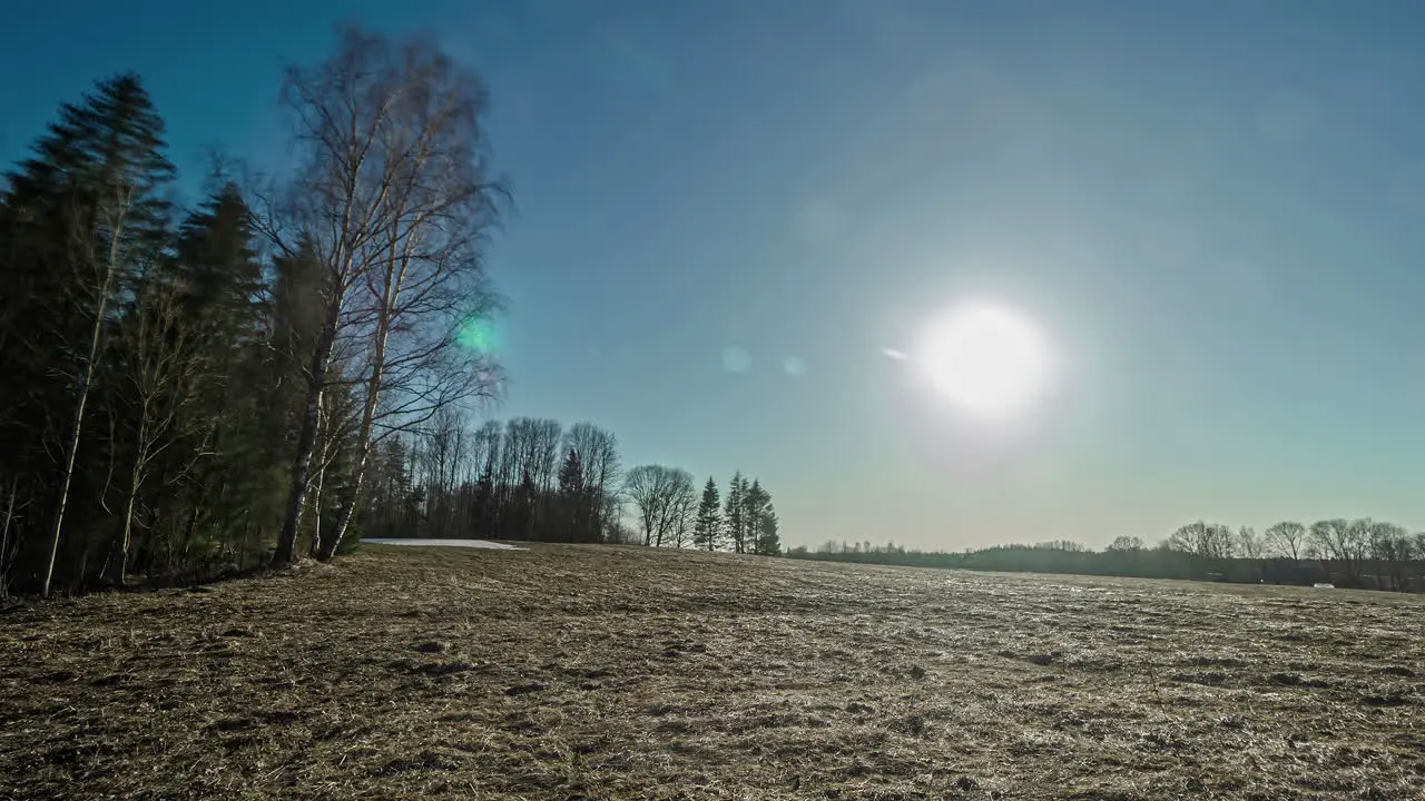 Time lapse shot of falling sunlight at blue sky behind forest trees in wilderness