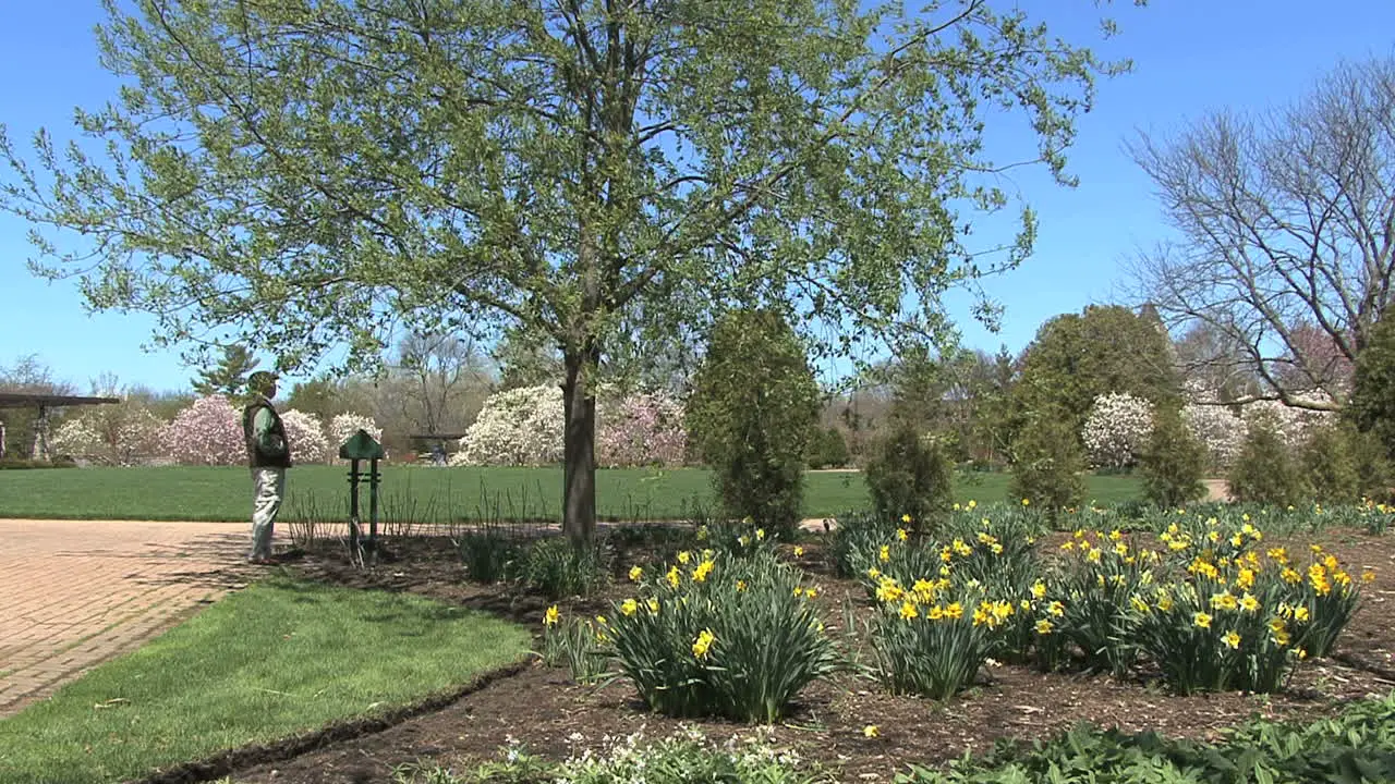 Wisconsin Madison garden blossoms 2