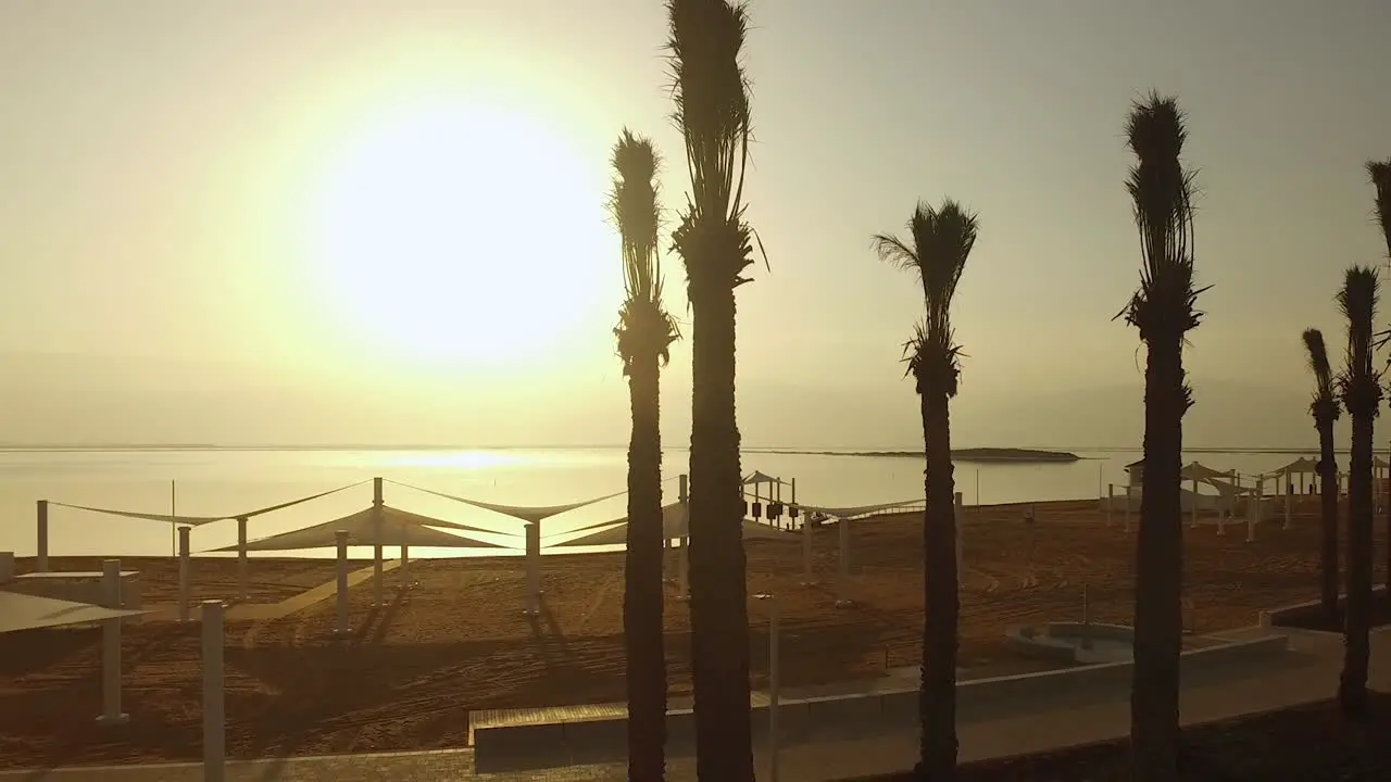 Rising over the palm trees at the Dead Sea in front of Hot Sunrise