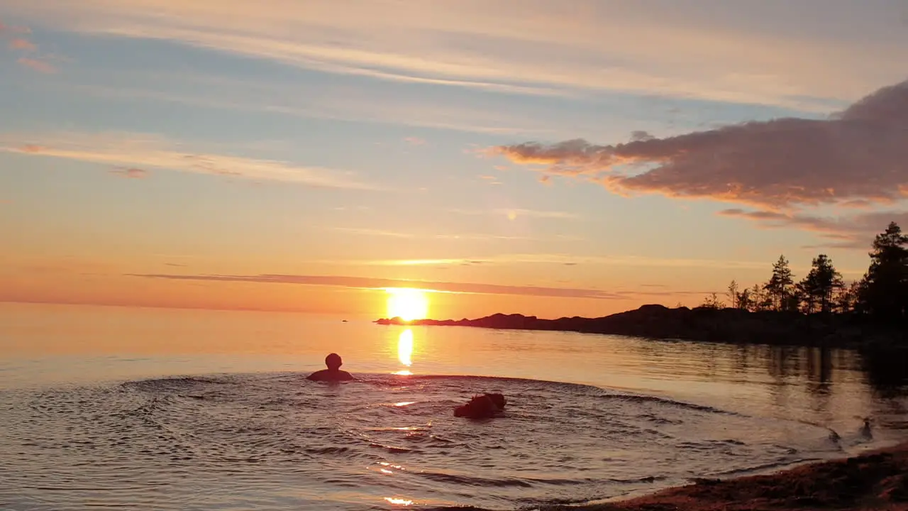 Man and Dog Going for Swim at Golden sunset Happy Vacation Scene