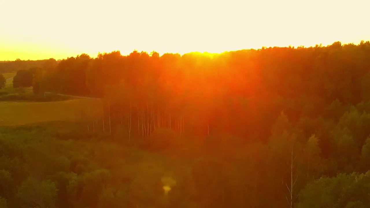 Aerial Shot Of Dazzling Wild Green Forest At Sunset Time USA