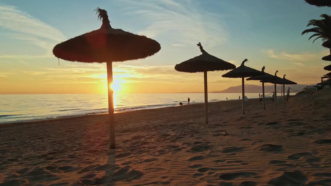 Parasols on the beach at sunset