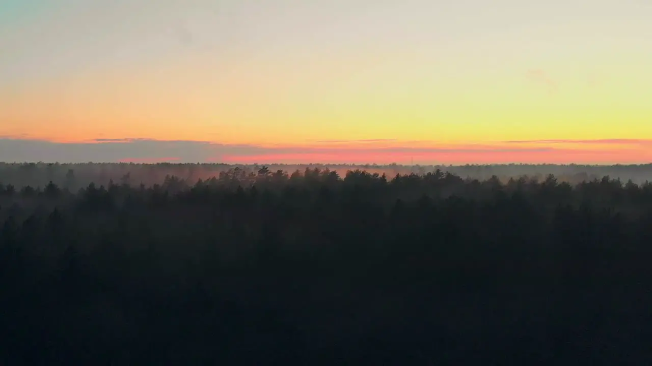 Astonishing Crane Shot Of Wild Green Forest At Sunset Time Eastern Europe