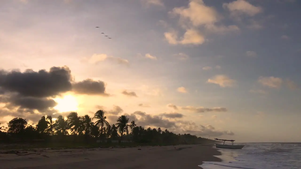 Silhouette of palm trees on a Caribbean coastline during sunset