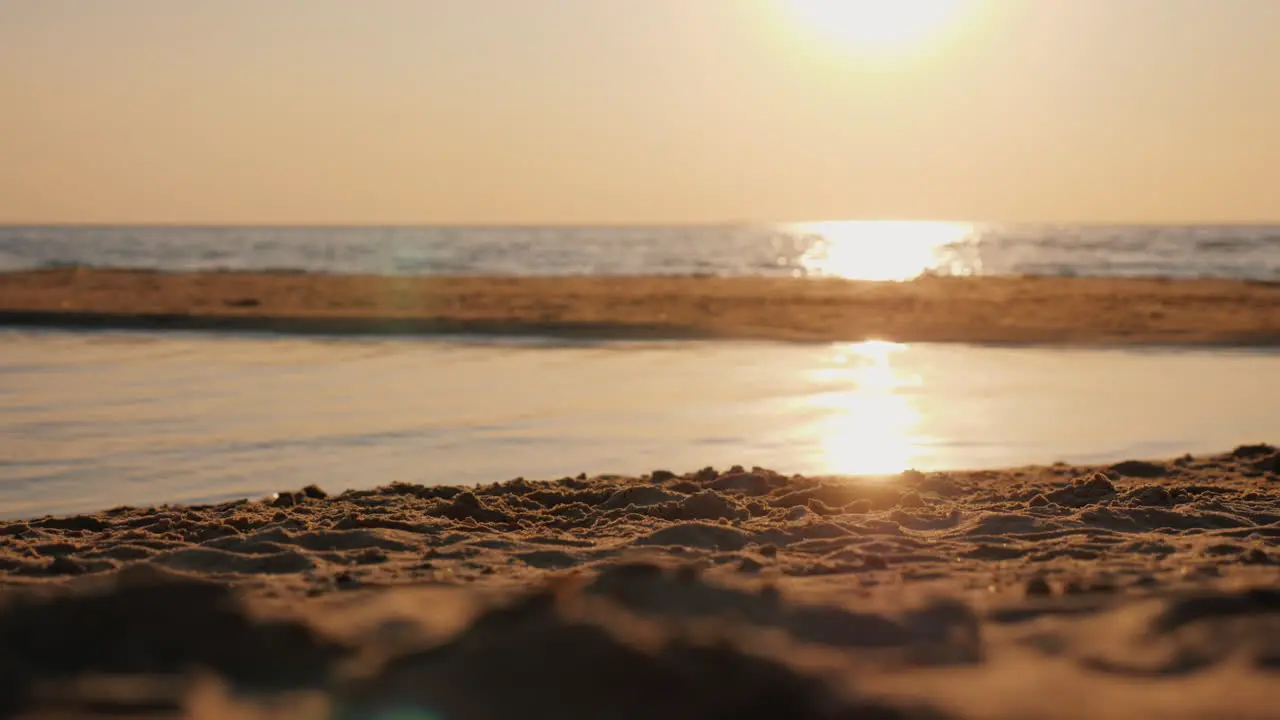 A Man Throws A Plastic Bottle On The Beach Plastic Pollution