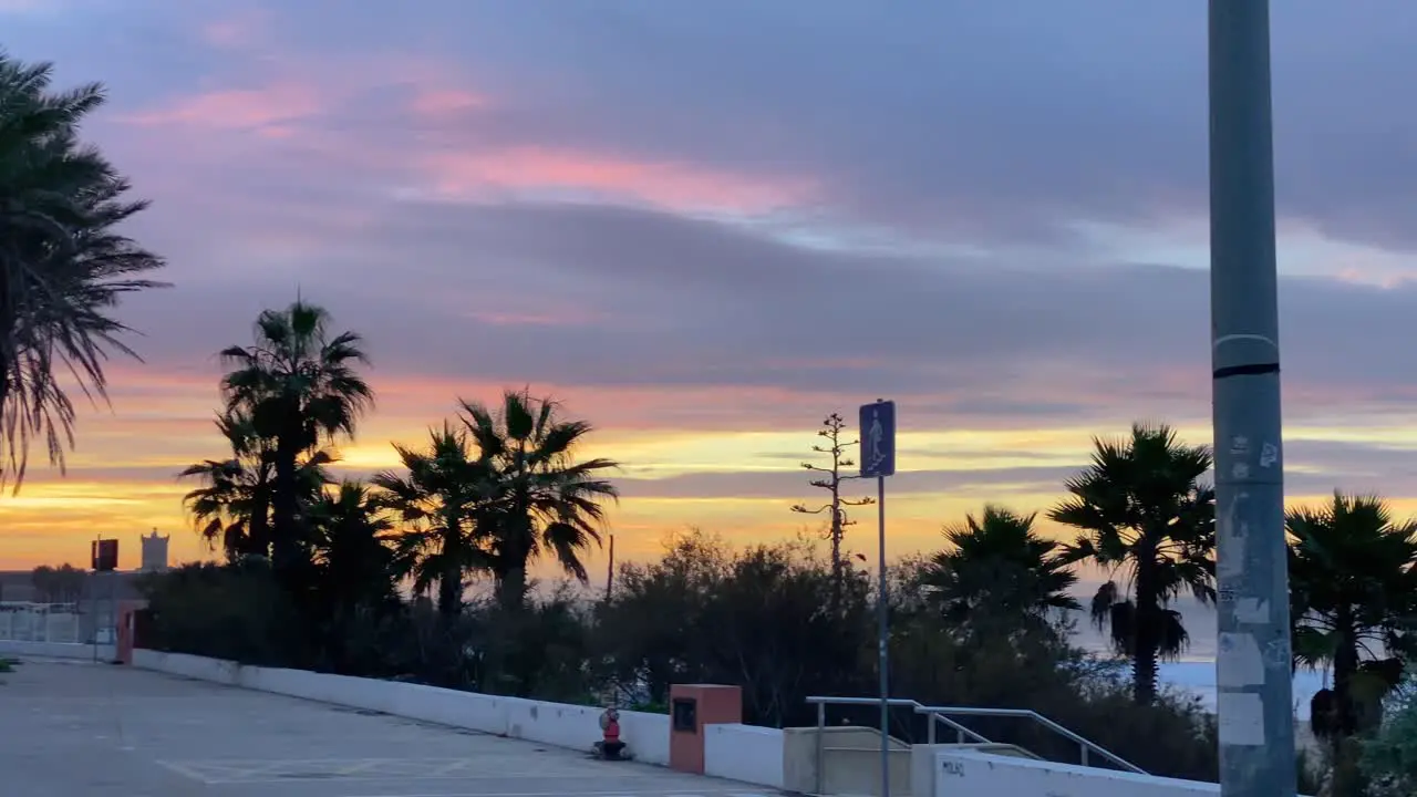 Beautiful sunset with palm trees in the foreground in a tropical island in Portugal