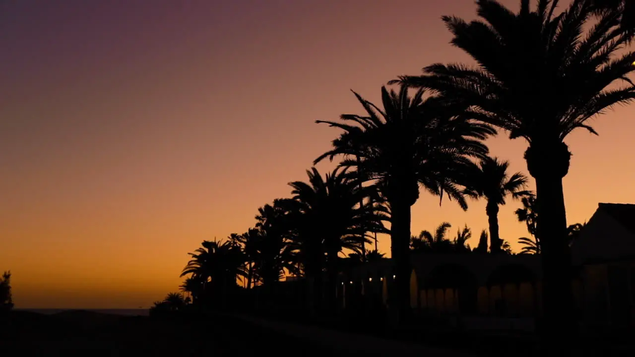 Dark sunset overlooking the ocean and orange sunset and the sand dunes and leaves of the dappled trees moving in strong wind captured in real speed motion 24fps