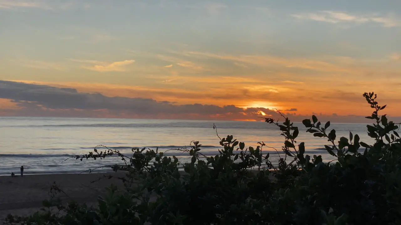 Silhouettes of forest trees near carcavelos beach and surfers at the sunset background on the Atlantic coast of Portugal