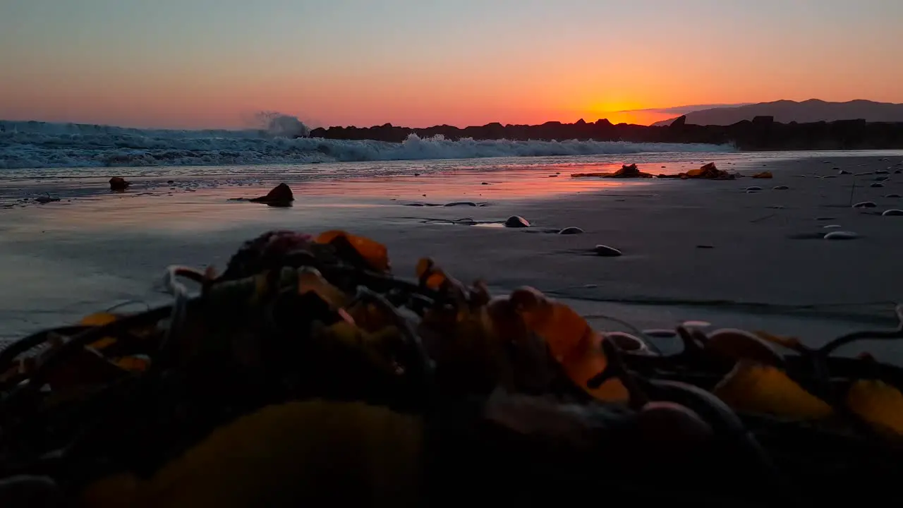 Very low dolly shot of seaweed on beach during sunset and waves coming in fast at San Buenaventura State Beach in Ventura California USA