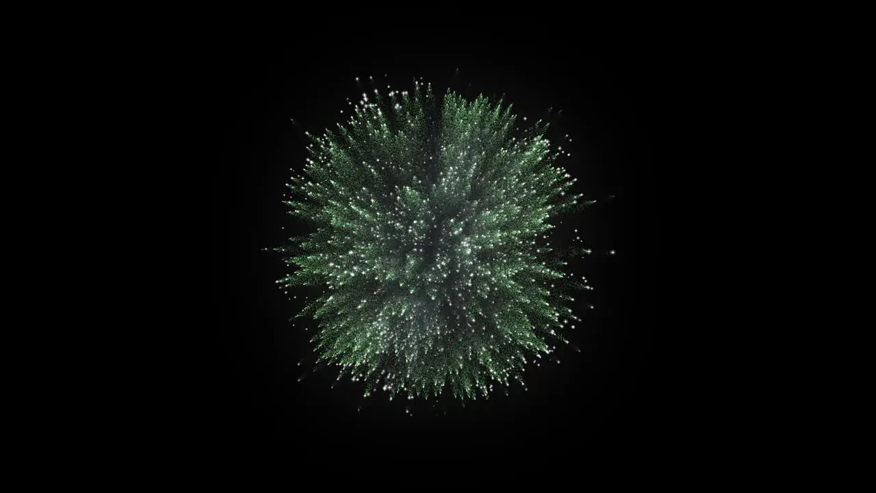 Champagne fireworks exploding on black background screen starting from center of the screen and forming green blast explosion