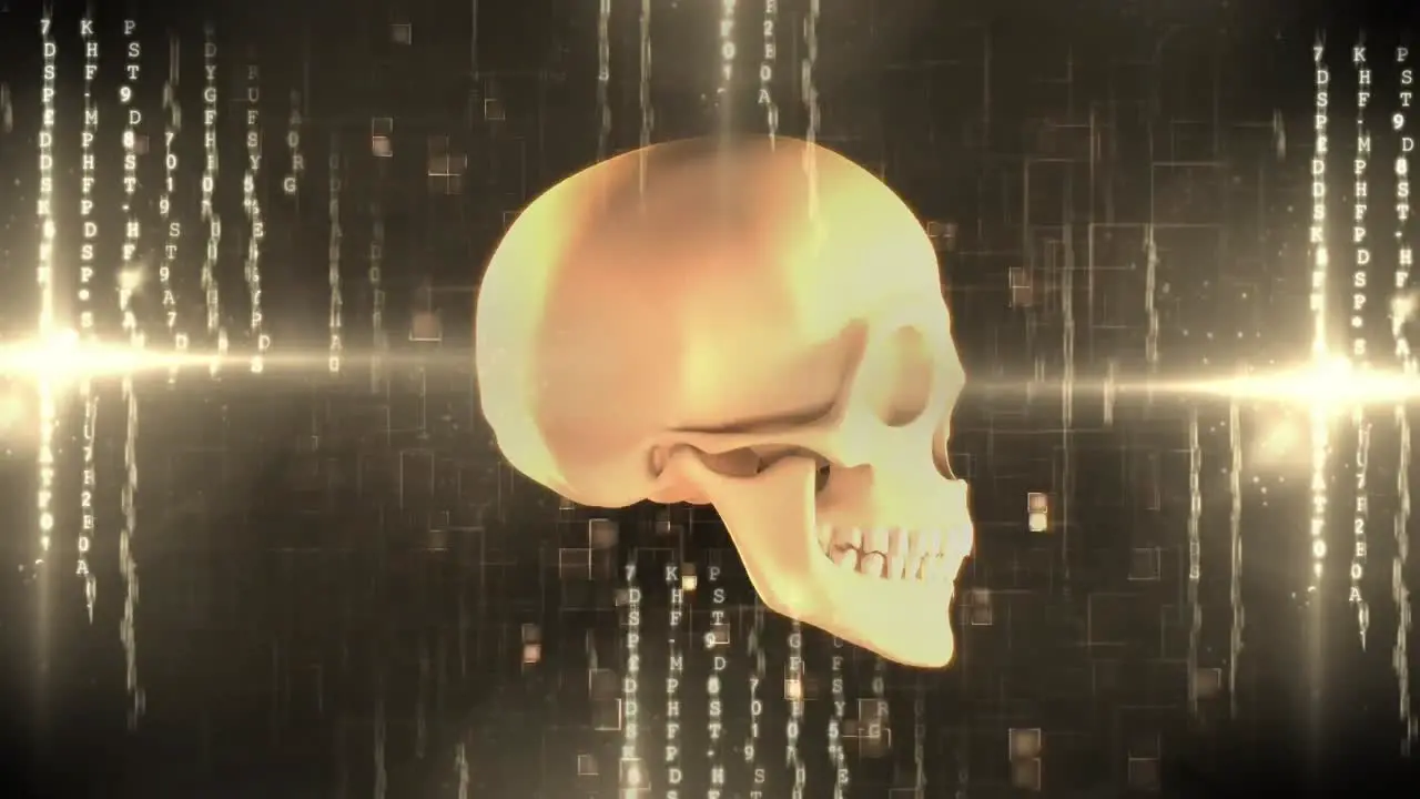 Spinning human skull against letters codes and light effects