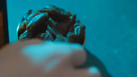 Macro Shot of Hand Taking a Date from a Bowl