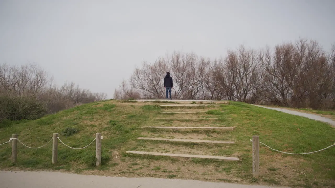 Man on a hill looking at the forest with existential tone