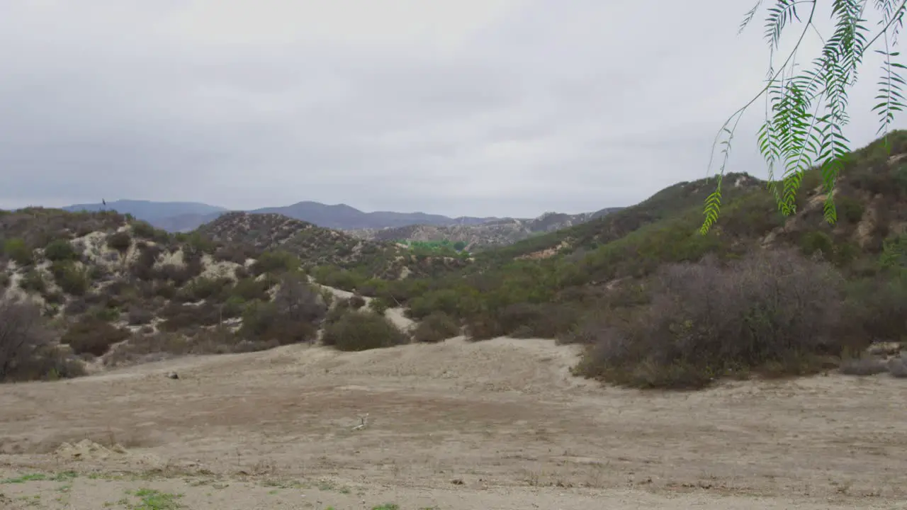 Sandy Landscape shot in California with a tree leaf in the foreground