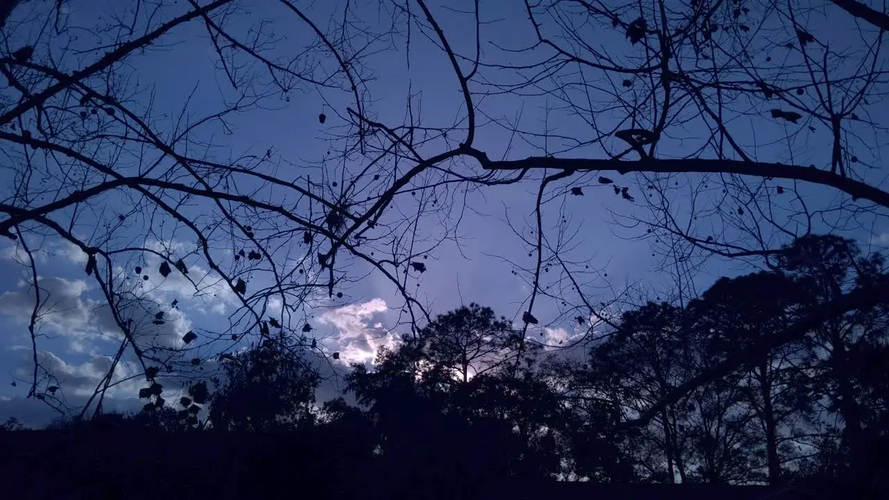 Fall Sunset Time Lapse To Night Through Trees