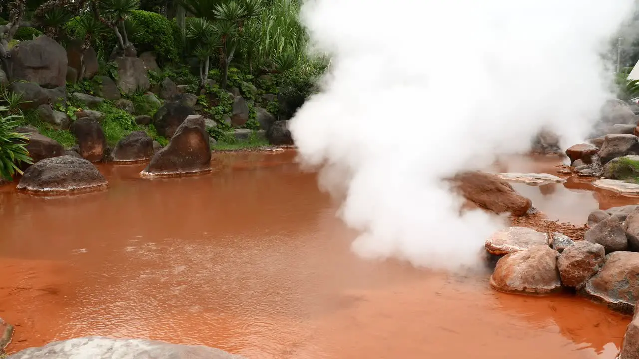 Forest with a natural pool of hot springs