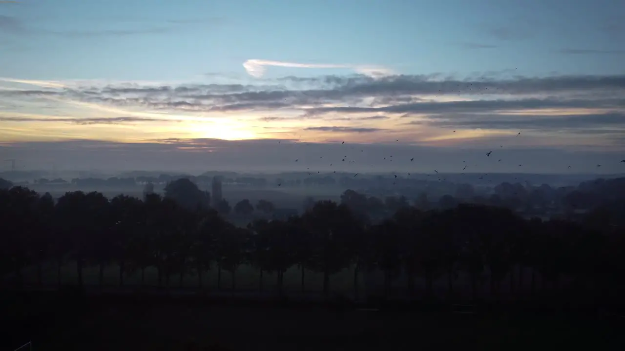 Sunrise in Helmond city with the birds flying across