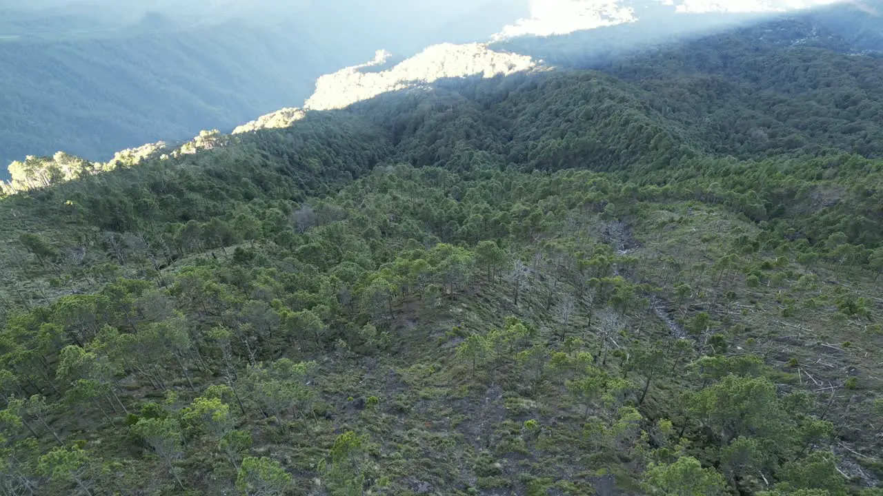 Drone view in Guatemala flying over a volcano mountain covered by green trees at sunrise surrounded by green mountains