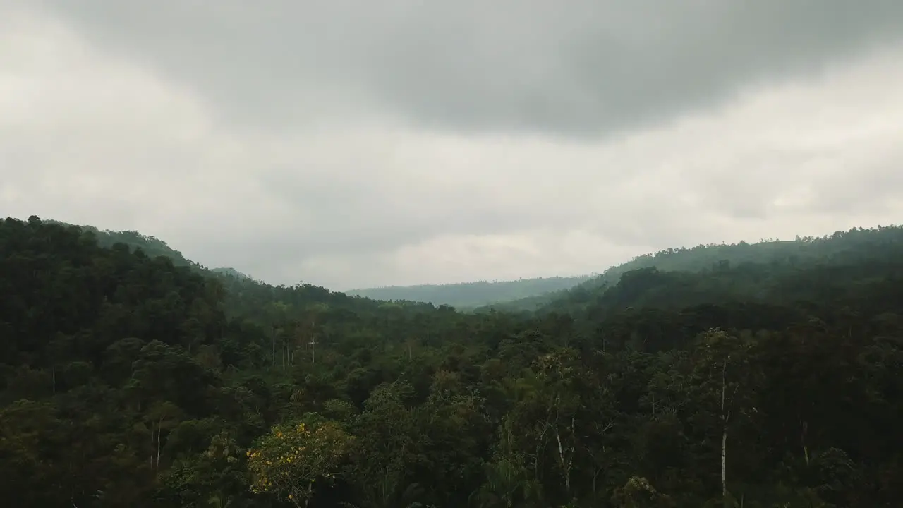 bosques nubosos en la zona Ecuatoriana del choco