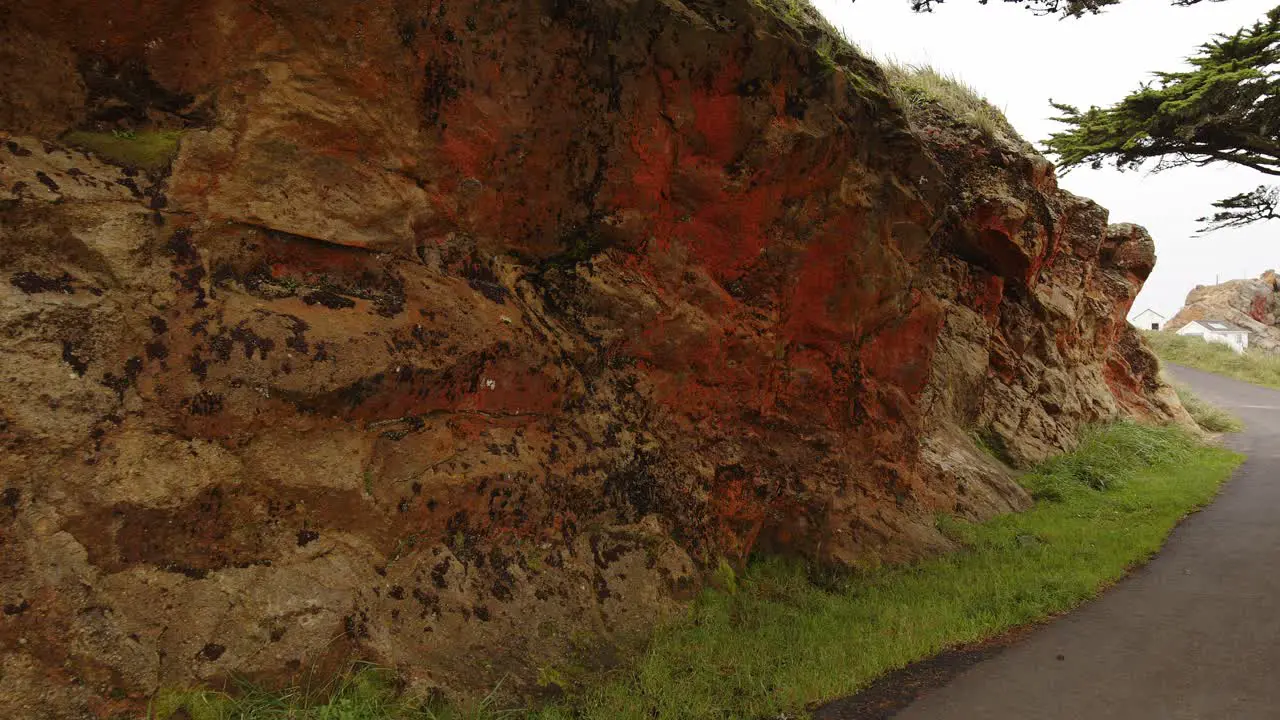 Panning shot of Moss and lichen covered rock wall along road at Point Reyes Lighthouse