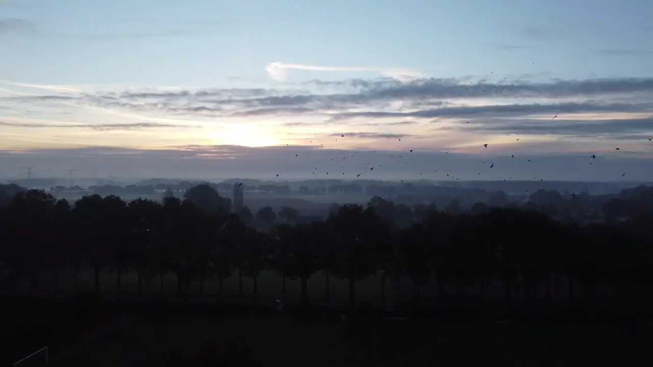 Sunrise on Helmond city with birds flying across camera