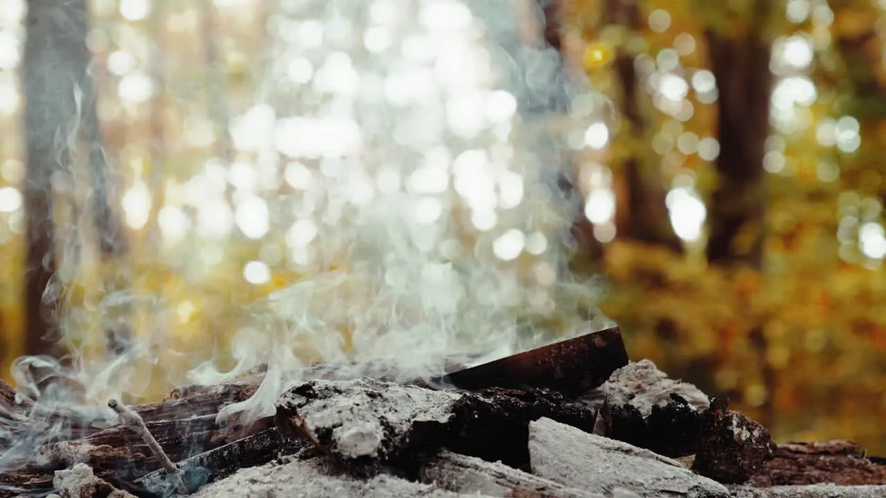 A freshly extinguished campfire full of ashes and smoke in the middle of a forest no people still shot