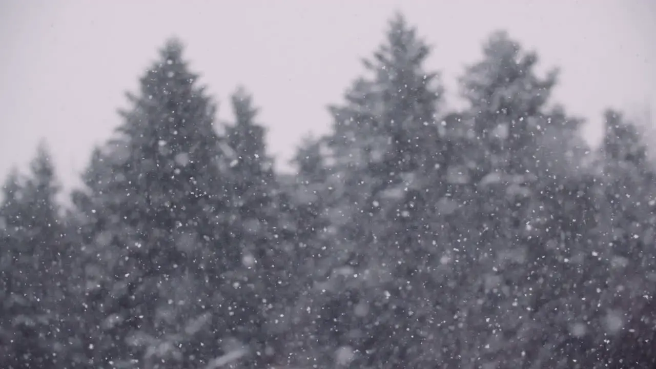 Snowflakes Against Snow Covered Trees In Mountains 4