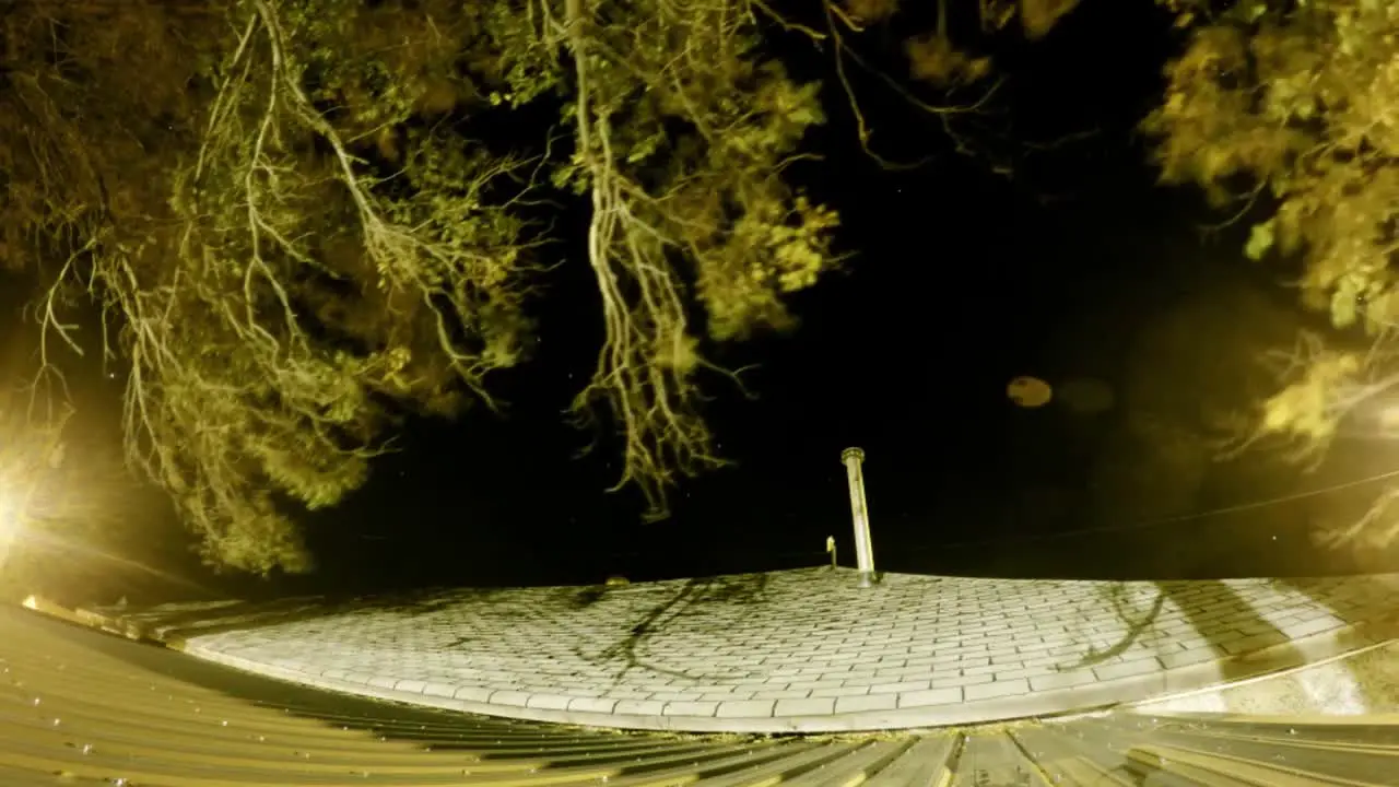 NIGHT LAPSE Dawn to night view a the rooftop of a home with tree branches over hanging into the shot