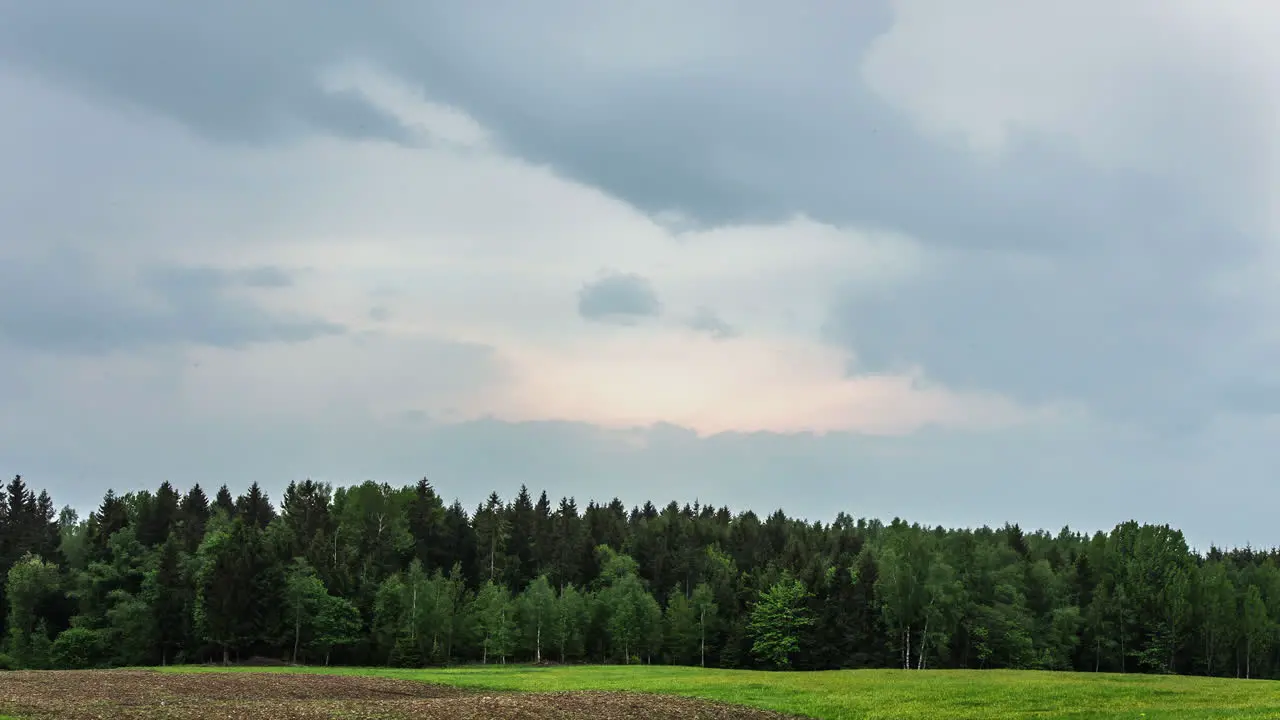 Timelapse Cloudy sky with green forest