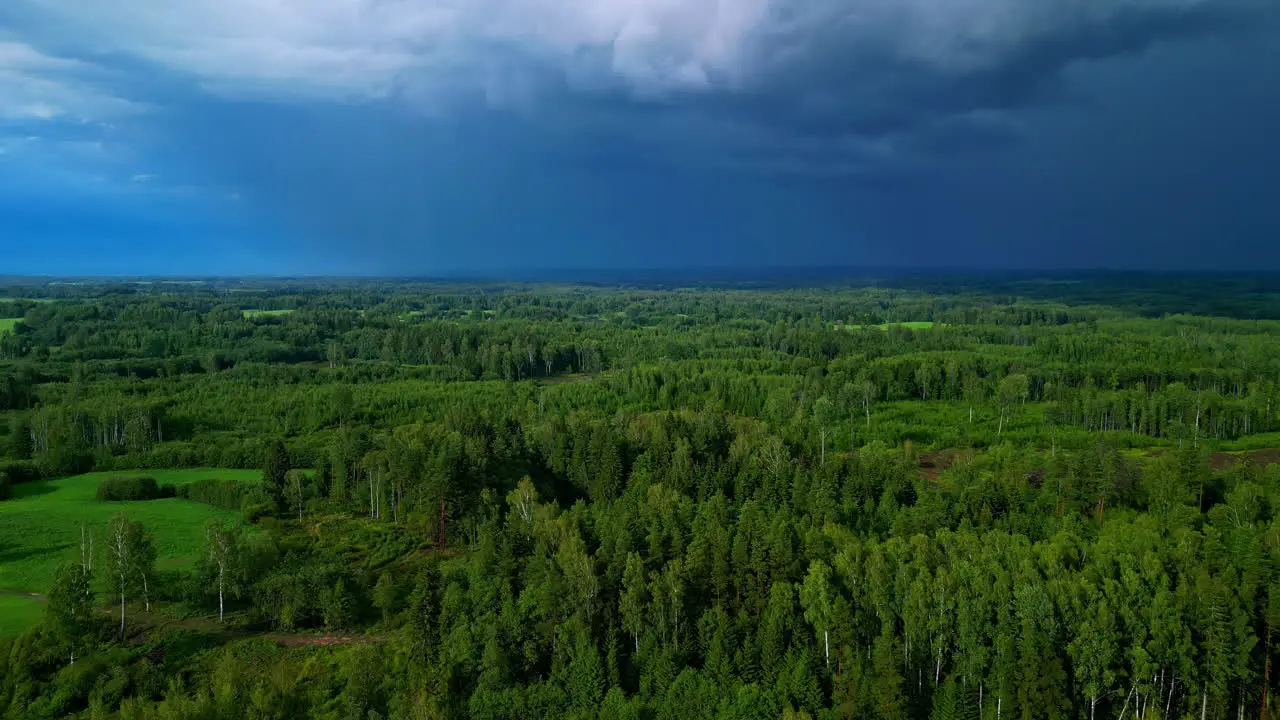 Ominous Sky Over Lush Forest Before The Storm