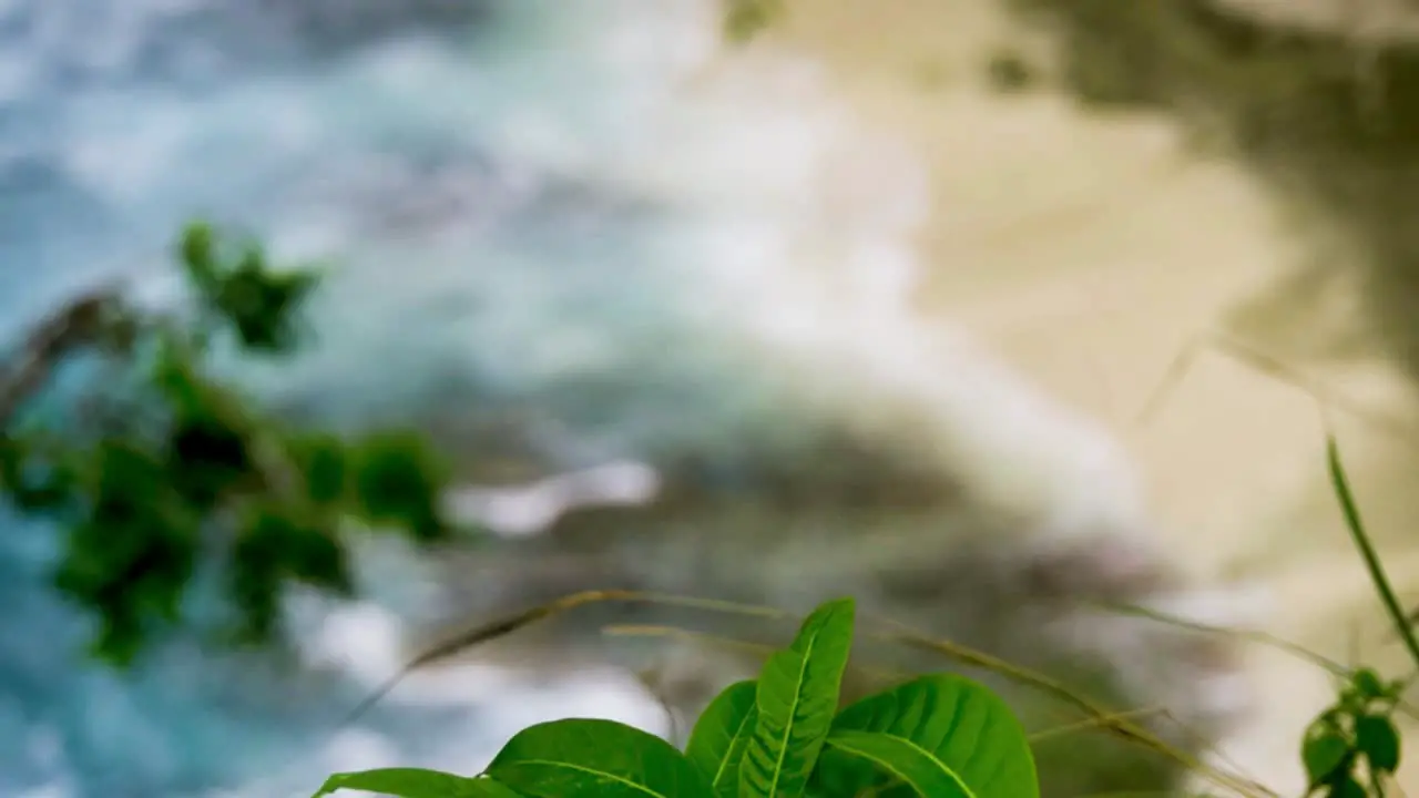 Vegetation reveals wave crash on rocks over sandy beach ocean spray in the air Broken beach Bali Indonesia