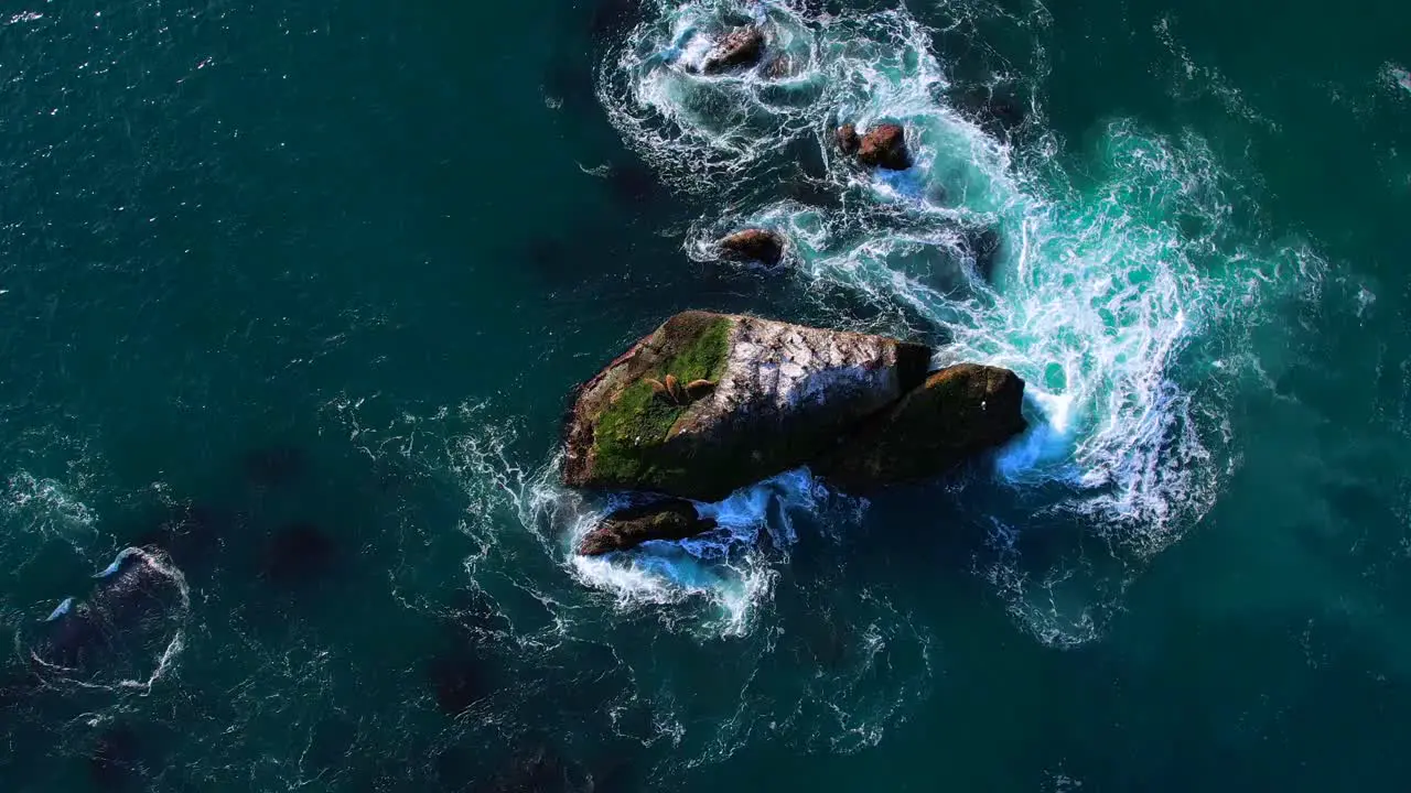 Sea Lions resting on San Juan Rock outside Dana Point Harbor in Southern California